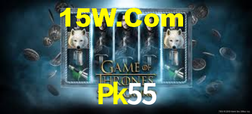 Premium Interface Pk55