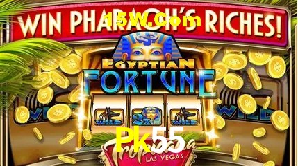 Estatísticas do Jogo Pk55